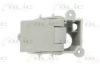 BLIC 6010-02-018409P Door Handle